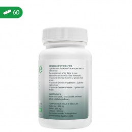 Oemine Ridiche Neagră 500 mg 60 capsule - Ficat si Digestie Beneficii Oemine sulf ridiche neagra: ajuta la refacerea celulelor h
