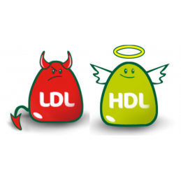 Pachet Suport Lipidic – Krill Oil + Cholesteril New Generation, 2 x 60 capsule Scade colesterolul și trigliceridele mărite, natu