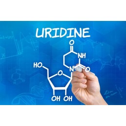 RAW Powders Uridina Monofosfat Pulbere 25 g - Memorie si Focus Uridina monofosfat pudra beneficii: ajuta in ameliorarea leziunil