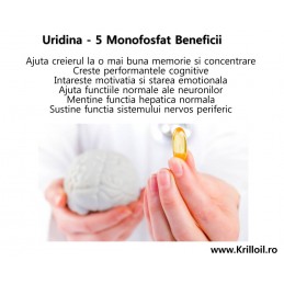 Raw Powders Uridine 250 mg 60 Capsule - Memorie si Concentrare Uridine 5 Monofosfat beneficii: stimuleaza reproducerea neuronilo
