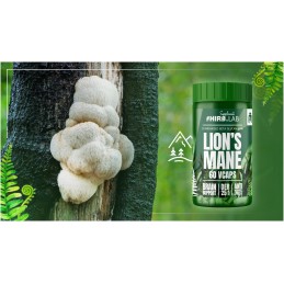 Lion’s Mane Extract 25:1 500mg - 60 Capsule, Hiro.Lab Lion’s Mane este un extract standardizat de 40% beta-glucan din Lion’s Man