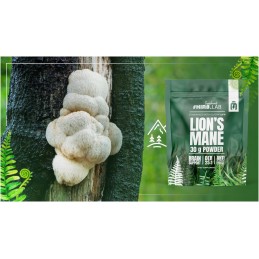 Lion’s Mane Extract pulbere 25:1 500mg – 30 grame, Hiro.Lab Lion’s Mane este un extract standardizat de 40% beta-glucan din Lion