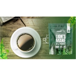 Lion’s Mane Extract pulbere 25:1 500mg – 30 grame, Hiro.Lab Lion’s Mane este un extract standardizat de 40% beta-glucan din Lion