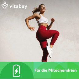 Coenzym Q10 Depot 200 mg - 120 Capsule vegane, Vitabay Coenzima noastră Q10, 200 mg ubiquinonă per capsulă, susține metabolismul