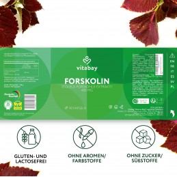 Coleus Forskohlii Extract - Forskolin 400 mg - 90 Capsule vegane, Vitabay Pentru a elibera acizi grasi stocati din tesutul adipo