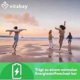 Vitamin B3 Niacin Flush free 500 mg - 90 Capsule vegane, Vitabay Descoperiți capsulele noastre cu vitamina B3 – fără adaos de ni