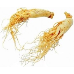 BelleBio Ginseng Rosu BIO 120 Capsule – Energie & Potenta Beneficii Ginseng Rosu Bio, Ginseng Rosu Coreean: tonic sexual, ajuta 