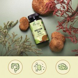 Vegavero Lion’s Mane 500 mg 60 Capsule – Concentrare & Memorie Lion's Mane Extract beneficii: nootropic, bun antioxidant, suport