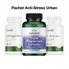 Pachet Anti-Stress Urban – Ashwagandha, Magneziu si L-Teanina ✅ Beneficii Pachet Anti-Stress Urban



✔ Combinație echilibrată A