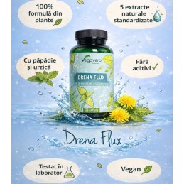 Vegavero Drenaflux Complex 600 mg 120 Capsule – Drenaj Natural BENEFICII DRENAFLUX: reduce retentia de apa, suport natural pentr