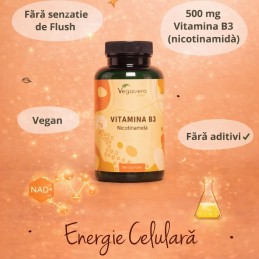 Vegavero Vitamina B3 500 mg 180 Capsule – Metabolism Activ Nicotinamida este o forma de vitamina B3. Aceasta sustine bunastarea 