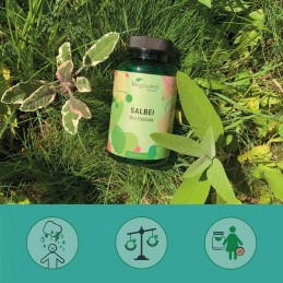 Vegavero Salvie Bio 500 mg 120 Capsule – Echilibru & Confort BENEFICII: Salvia este o planta puternica. Frunzele sunt o sursa ex