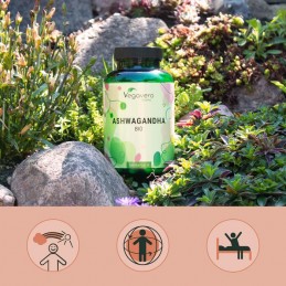 Vegavero Ashwagandha Bio 180 Capsule – Calm & Energie Beneficii Ashwagandha: planta medicinala antica, reduce nivelul de zahăr d