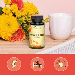 Vegavero Vitamina B + Colina 180 Tablete – Memorie & Energie Vitamina B12 (Metilcobalamina și Adenosilcobalamina), Acid Folic (5