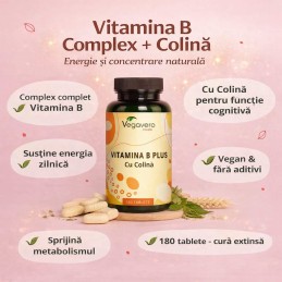Vegavero Vitamina B + Colina 180 Tablete – Memorie & Energie Vitamina B12 (Metilcobalamina și Adenosilcobalamina), Acid Folic (5