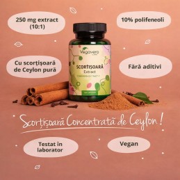 Vegavero Scortisoara Extract 500mg 120 Capsule - Metabolism Glicemie BENEFICIILE SCORTISOAREI: influenteaza pozitiv diversi para
