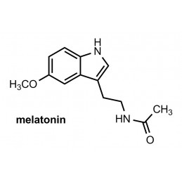 Pure Nutrition USA Melatonina 3 mg - 100 capsule, somn odihnitor, relaxare Beneficii Melatonina: sustine somnul odihnitor, regla