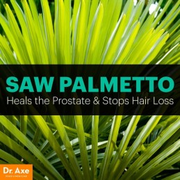 Saw Palmetto 700 mg 100 Capsule, Supliment prostata Beneficii Saw Palmetto: diminueaza hiperplazia benigna de prostata, ameliore