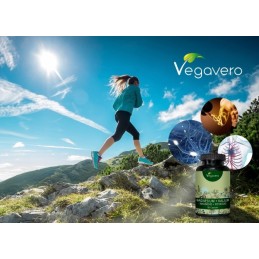 Vegavero Magneziu + Potasiu 180 Capsule – Muschi & Electroliti Beneficii Magneziu + Potasiu: poate stimula performanta exercitii