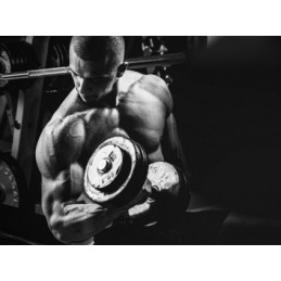 Pure Nutrition USA Tribulus 1000 mg 45 capsule – Energie Masculină Tribulus Terrestris Beneficii: creste in mod natural nivelul 