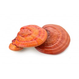 Francois Nature, Reishi Ganoderma 240 capsule Beneficii Reishi Ganoderma: reduce oboseala, are proprietati adaptogene, reduce in