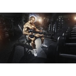 Creatina 1000 mg 120 Tablete, Muscle Power Beneficii Creatina: creste puterea semnificativ, castig rapid de masa musculara, supl