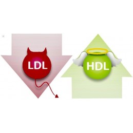 Belle&Bio Drojdie de Orez Rosu BIO 120 Capsule – Colesterol Drojdie de orez rosu beneficii: sursa importanta de monacolina K, co