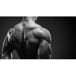 Pure Nutrition USA Amino 10.000 1000 ml – 10 g Aminoacizi Recuperare Musculară Beneficii Amino 10 000: 10.000 mg de aminoacizi p