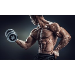 Pure Nutrition USA L-Arginine 1000 mg 100 capsule – Oxid Nitric Beneficii L-Arginine 1000 mg Pure Nutrition USA

✔ 1000 mg L-Arg