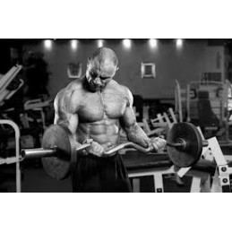 Pure Nutrition USA Creatină Monohidrat 1200 mg 100 capsule – Forta Beneficii creatina: cel mai popular produs in culturism, pent