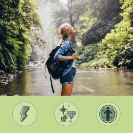 Vegavero Moringa BIO 600mg 270 Capsule – Energie & Antioxidant Moringa Bio beneficii: contine antioxidanti si compusi antiinflam