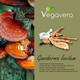 Vegavero Reishi Ganoderma extract 270 Capsule Beneficii Reishi Ganoderma extract: previne si reduce oboseala, are proprietati ad