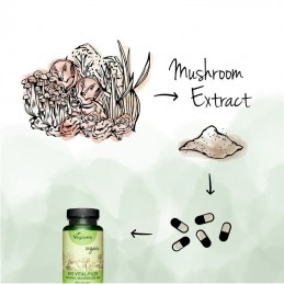 Vegavero Complex Organic de ciuperci 60 Capsule Beneficii Mushroom Complex: intareste sistemul imunitar, creste energia si bunas
