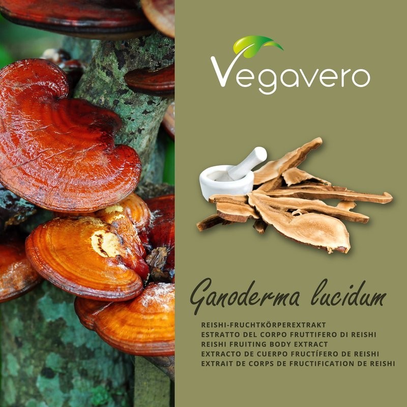 Vegavero Reishi Ganoderma extract 120 Capsule - 3 | YEO