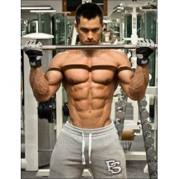 HS Labs Complex Tribulus Maca Ginseng 90 capsule – Energie Masculină Test Booster conține: Extract de Tribulus Terestris cu 90% 