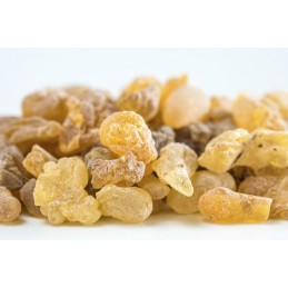 Supliment alimentar Extract tamaie, BoswelliaPhyt 250 mg 60 Capsule, Nutrisan Boswellia: Un antiinflamator puternic și natural, 