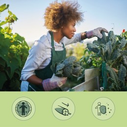 Vegavero Vitamina B + Colina 180 Tablete – Memorie & Energie Vitamina B12 (Metilcobalamina și Adenosilcobalamina), Acid Folic (5