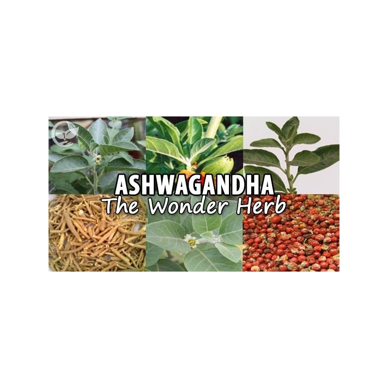 Ashwagandha Vege 700 mg 60 Capsule, OstroVit - 1 | YEO