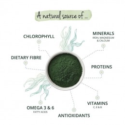 Vegavero Spirulina Organic 1000 mg 300 Tablete – Suport Imunitate Beneficii Spirulina: protejeaza si imbunatateste sanatatea och