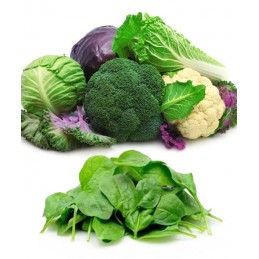 HS Labs R-Alpha Lipoic Acid 100 mg 90 tablete – Antioxidant Metabolic Beneficii Acid Alfa-Lipoic: antioxidant, regleaza hiperten