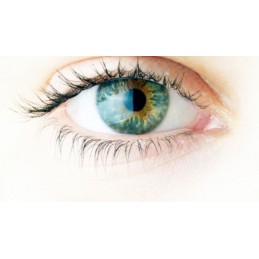Ajută la ameliorarea bolilor oculare, protejează retina de lumina soarelu, Lutein 6mg, 90 Capsule Beneficii Luteina: ajută la am