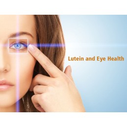 Ajută la ameliorarea bolilor oculare, protejează retina de lumina soarelu, Lutein 6mg, 90 Capsule Beneficii Luteina: ajută la am