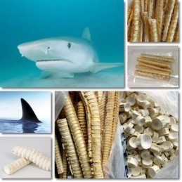 Cartilaj de rechin 120 capsule (Ajuta in artrita si osteoartrita) Beneficii Cartilaj de rechin: scade inflamatia si durerile art