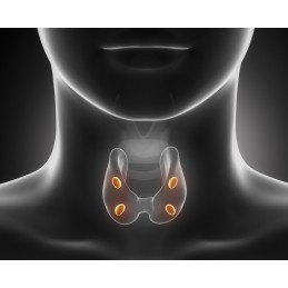 OstroVit Pharma Thyroid Aid 90 Capsule, sanatate tiroida Susinte sanatatea glandei tiroide, sprijină un metabolism sănătos, ajut