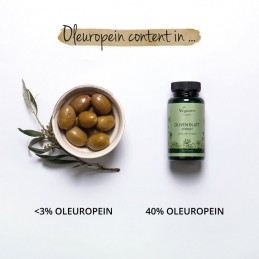 Vegavero Olive Leaf Extract 40% Oleuropeina 90 Capsule Bio – Circulatie Consumul regulat al suplimentului nostru Olive Leaf Extr