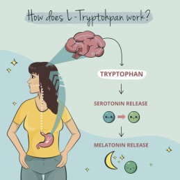 Vegavero L-Triptofan, L-Tryptophan, 500 mg 120 Capsule Trptofanul ajuta in: tulburare somn și insomnie, in caz de depresie, anxi