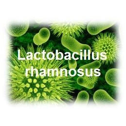 Oemine ECZEBIOPHILUS (Prebiotic si Probiotic) - 60capsule