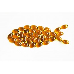 MER (Lecitina din peste) - 60 caps (ajuta in ameliorarea steatozei hepatice, sursa naturala de origine marina) Beneficii importa