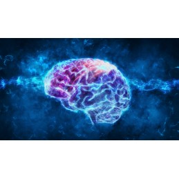 L-Tyrosine (Tirozina) 500mg - 100 Capsule, Swanson Beneficiile tirozinei: este utilizata in suplimentele proteice pentru a minim