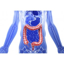 Pure Nutrition USA Digest Matrix 60 capsule – Enzime Digestive Beneficii Digest Matrix: sprijina o digestie mai buna a alimentel